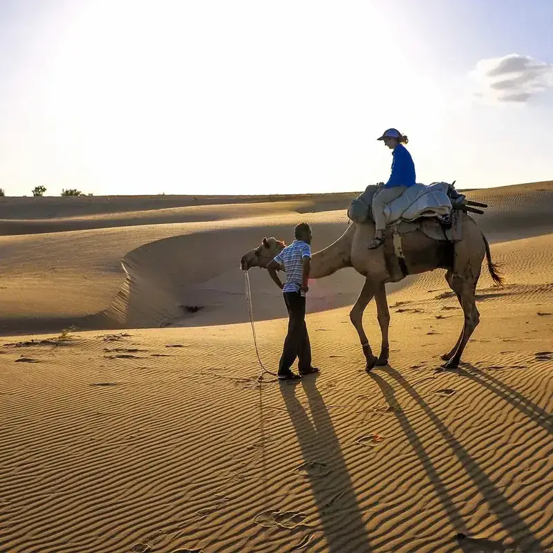 Camel Safari Jaisalmer